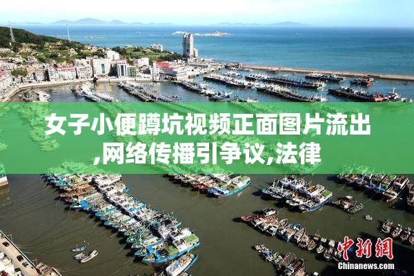 女子小便蹲坑视频正面图片流出,网络传播引争议,法律