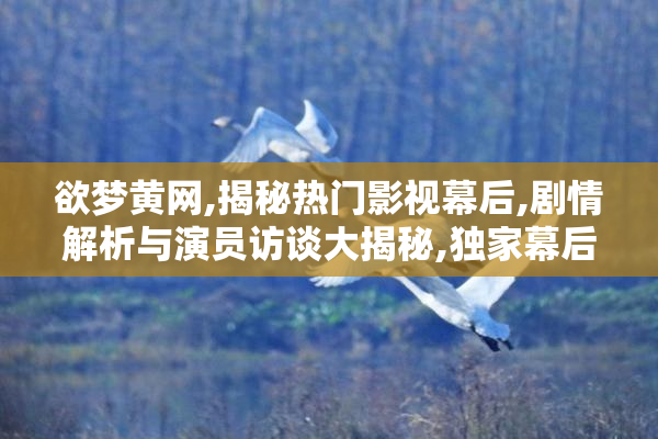 欲梦黄网,揭秘热门影视幕后,剧情解析与演员访谈大揭秘,独家幕后