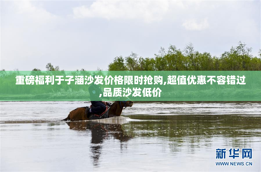 重磅福利于子涵沙发价格限时抢购,超值优惠不容错过,品质沙发低价