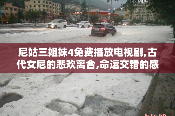尼姑三姐妹4免费播放电视剧,古代女尼的悲欢离合,命运交错的感人