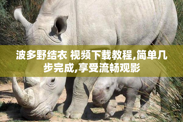 波多野结衣 视频下载教程,简单几步完成,享受流畅观影