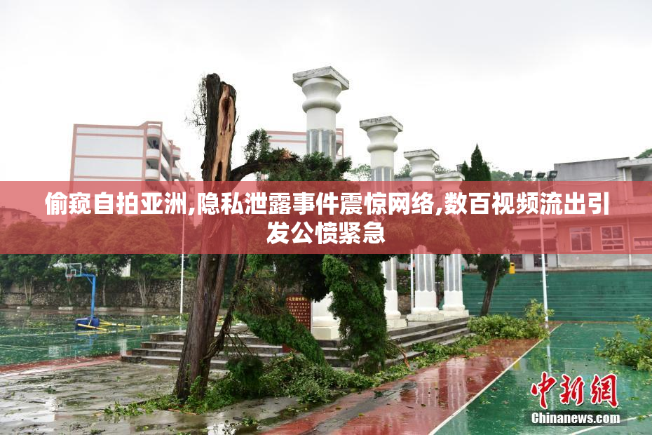 偷窥自拍亚洲,隐私泄露事件震惊网络,数百视频流出引发公愤紧急
