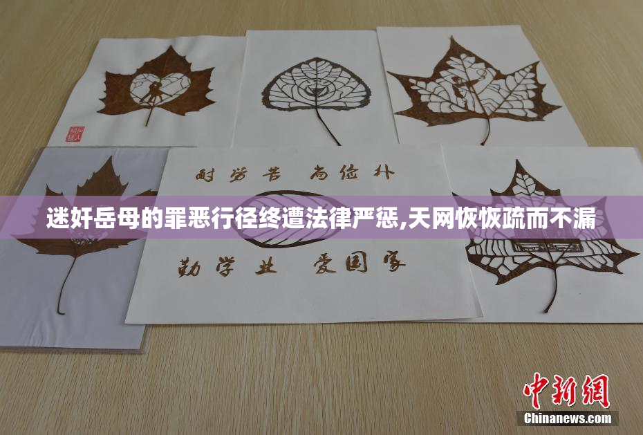 迷奸岳母的罪恶行径终遭法律严惩,天网恢恢疏而不漏