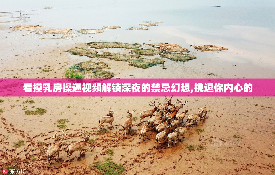 看摸乳房操逼视频解锁深夜的禁忌幻想,挑逗你内心的
