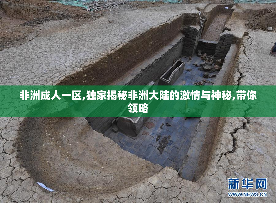 非洲成人一区,独家揭秘非洲大陆的激情与神秘,带你领略