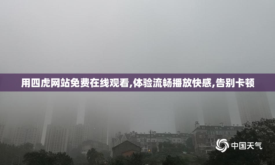 用四虎网站免费在线观看,体验流畅播放快感,告别卡顿