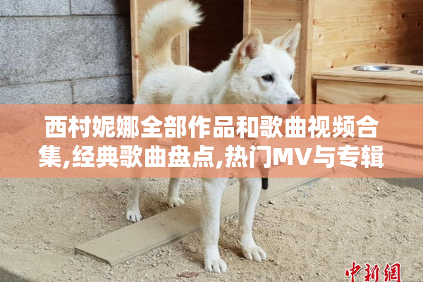 西村妮娜全部作品和歌曲视频合集,经典歌曲盘点,热门MV与专辑完整