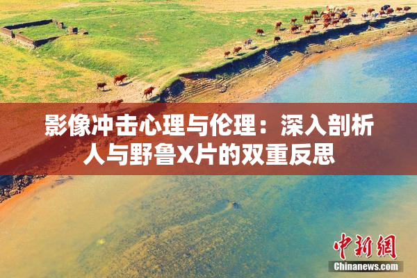 影像冲击心理与伦理：深入剖析人与野鲁X片的双重反思