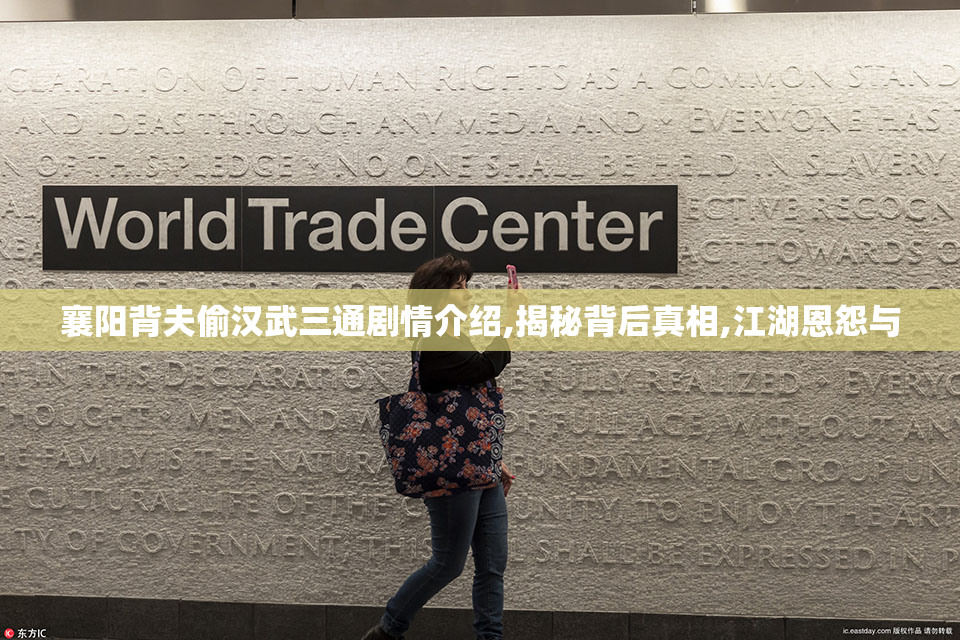 襄阳背夫偷汉武三通剧情介绍,揭秘背后真相,江湖恩怨与