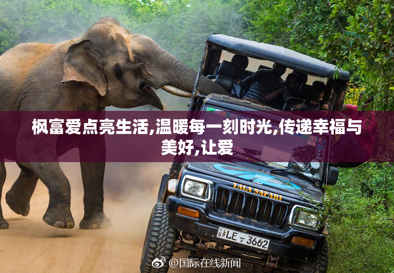 枫富爱点亮生活,温暖每一刻时光,传递幸福与美好,让爱