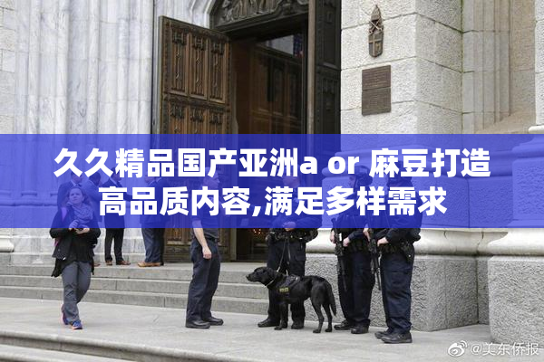 久久精品国产亚洲a or 麻豆打造高品质内容,满足多样需求