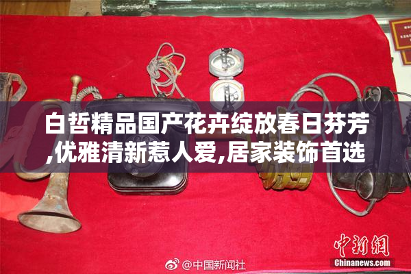 白哲精品国产花卉绽放春日芬芳,优雅清新惹人爱,居家装饰首选