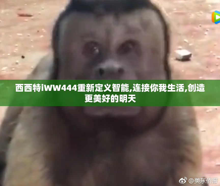 西西特iWW444重新定义智能,连接你我生活,创造更美好的明天