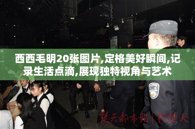 西西毛明20张图片,定格美好瞬间,记录生活点滴,展现独特视角与艺术