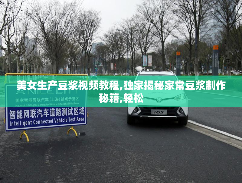 美女生产豆浆视频教程,独家揭秘家常豆浆制作秘籍,轻松