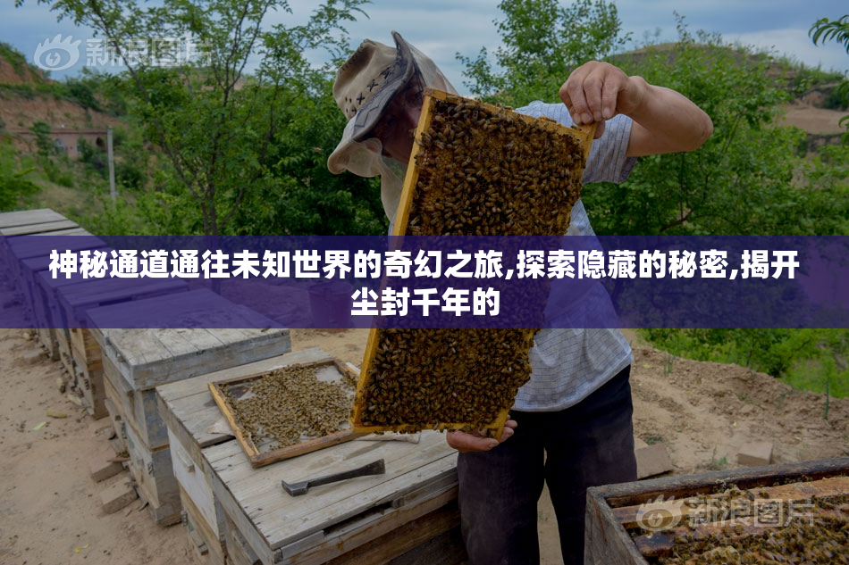 神秘通道通往未知世界的奇幻之旅,探索隐藏的秘密,揭开尘封千年的