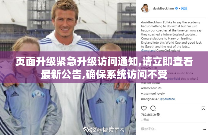 页面升级紧急升级访问通知,请立即查看最新公告,确保系统访问不受