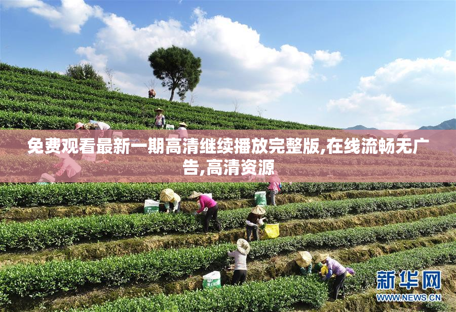 免费观看最新一期高清继续播放完整版,在线流畅无广告,高清资源