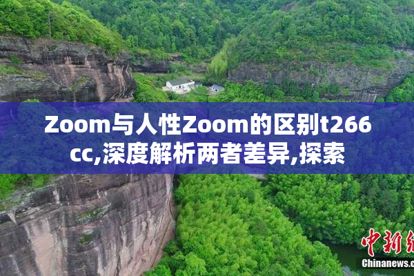 Zoom与人性Zoom的区别t266cc,深度解析两者差异,探索