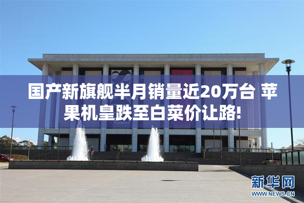 国产新旗舰半月销量近20万台 苹果机皇跌至白菜价让路!