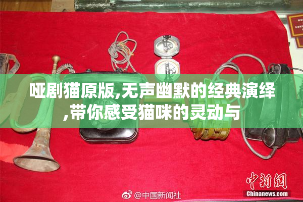 哑剧猫原版,无声幽默的经典演绎,带你感受猫咪的灵动与
