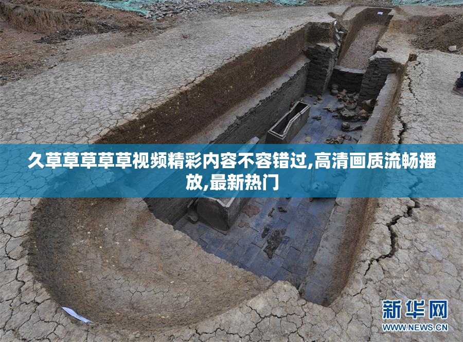 久草草草草草视频精彩内容不容错过,高清画质流畅播放,最新热门