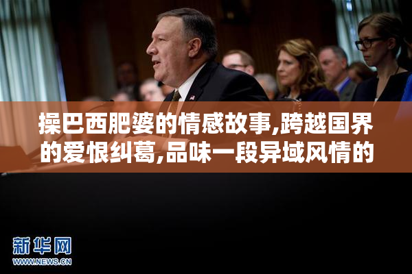 操巴西肥婆的情感故事,跨越国界的爱恨纠葛,品味一段异域风情的