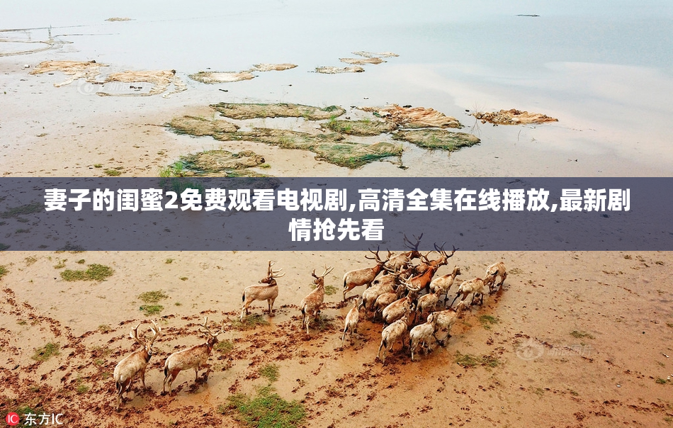 妻子的闺蜜2免费观看电视剧,高清全集在线播放,最新剧情抢先看