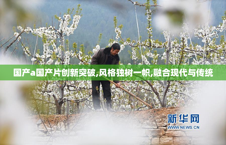 国产a国产片创新突破,风格独树一帜,融合现代与传统