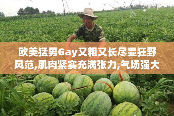 欧美猛男Gay又粗又长尽显狂野风范,肌肉紧实充满张力,气场强大无法