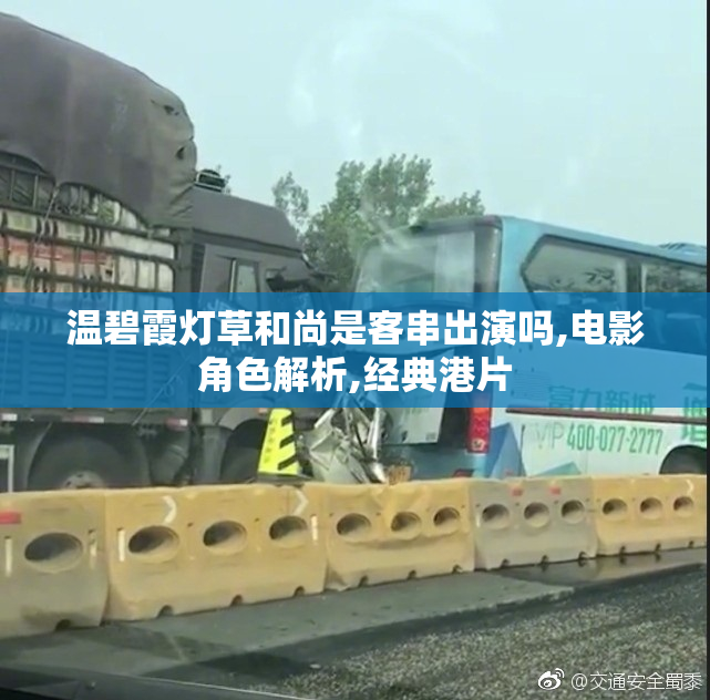 温碧霞灯草和尚是客串出演吗,电影角色解析,经典港片