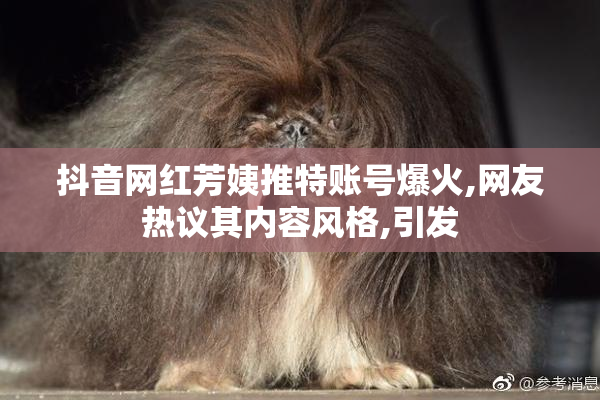 抖音网红芳姨推特账号爆火,网友热议其内容风格,引发