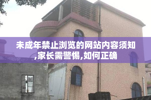 未成年禁止浏览的网站内容须知,家长需警惕,如何正确