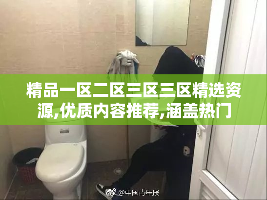 精品一区二区三区三区精选资源,优质内容推荐,涵盖热门