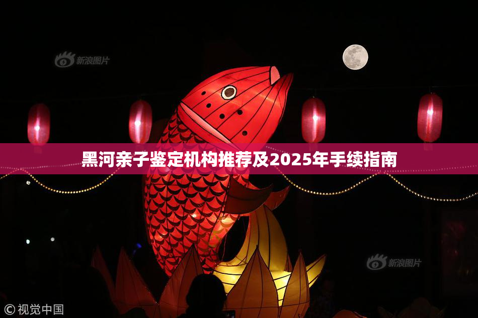 黑河亲子鉴定机构推荐及2025年手续指南