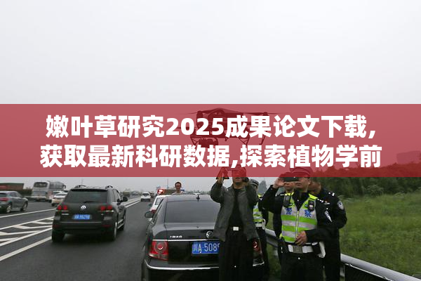 嫩叶草研究2025成果论文下载,获取最新科研数据,探索植物学前沿突破