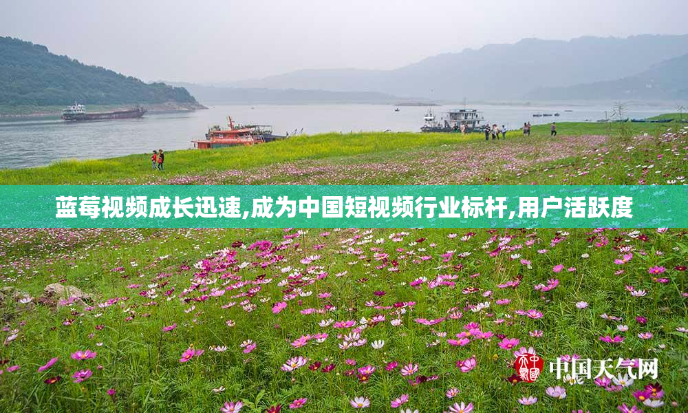 蓝莓视频成长迅速,成为中国短视频行业标杆,用户活跃度