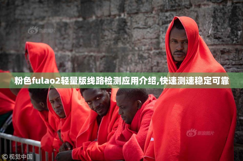 粉色fulao2轻量版线路检测应用介绍,快速测速稳定可靠