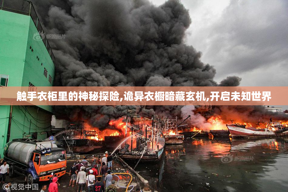 触手衣柜里的神秘探险,诡异衣橱暗藏玄机,开启未知世界