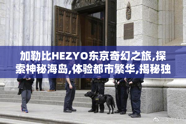 加勒比HEZYO东京奇幻之旅,探索神秘海岛,体验都市繁华,揭秘独特文化