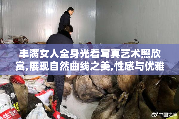 丰满女人全身光着写真艺术照欣赏,展现自然曲线之美,性感与优雅的