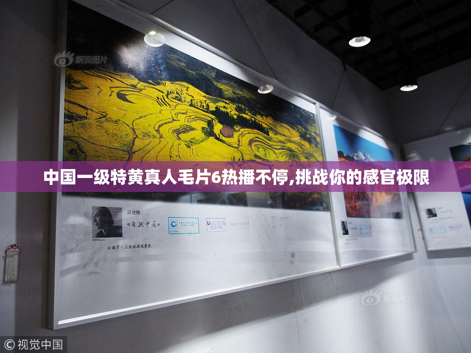 中国一级特黄真人毛片6热播不停,挑战你的感官极限