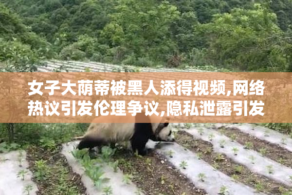 女子大荫蒂被黑人添得视频,网络热议引发伦理争议,隐私泄露引发