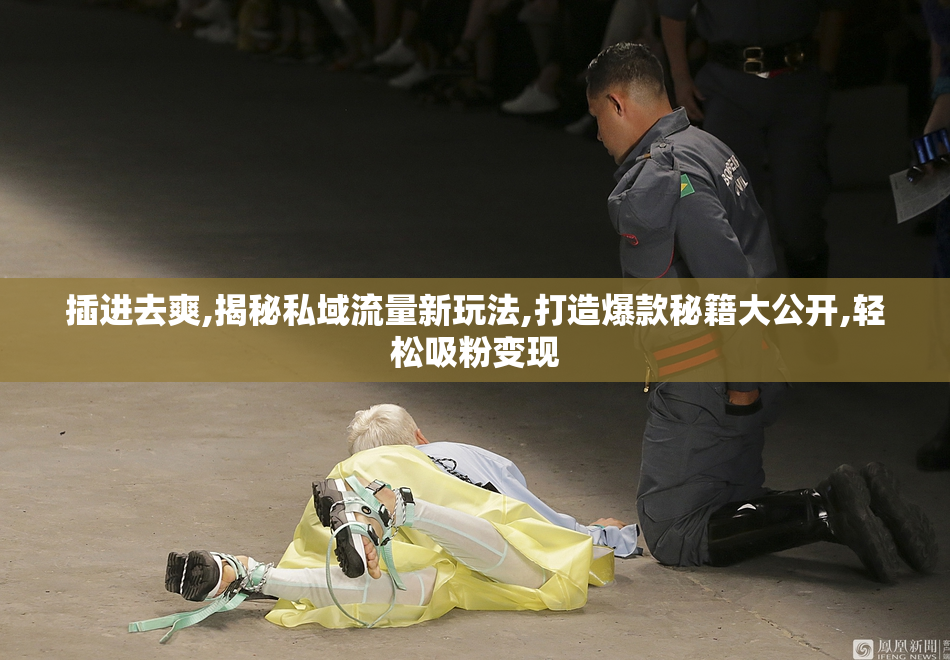插进去爽,揭秘私域流量新玩法,打造爆款秘籍大公开,轻松吸粉变现