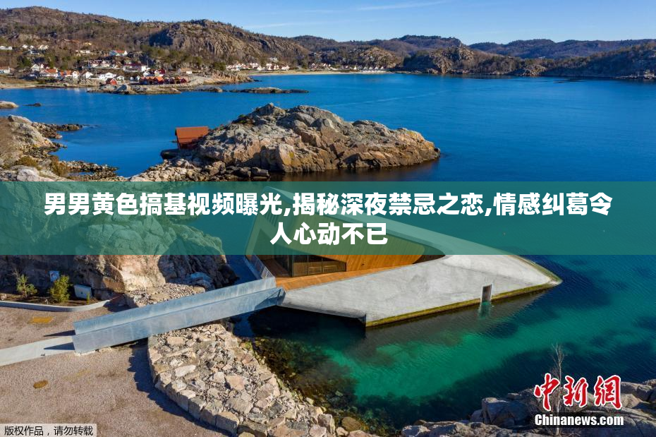 男男黄色搞基视频曝光,揭秘深夜禁忌之恋,情感纠葛令人心动不已