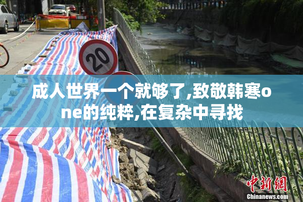 成人世界一个就够了,致敬韩寒one的纯粹,在复杂中寻找