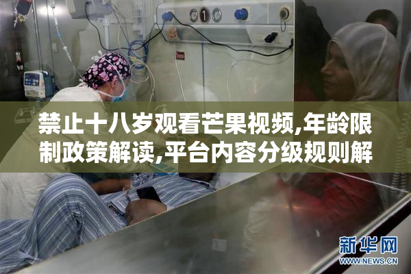 禁止十八岁观看芒果视频,年龄限制政策解读,平台内容分级规则解析