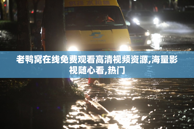 老鸭窝在线免费观看高清视频资源,海量影视随心看,热门