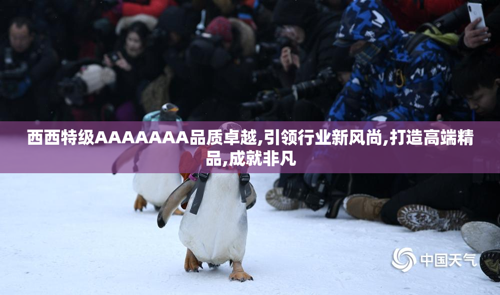 西西特级AAAAAAA品质卓越,引领行业新风尚,打造高端精品,成就非凡