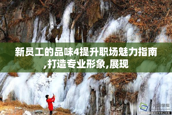 新员工的品味4提升职场魅力指南,打造专业形象,展现
